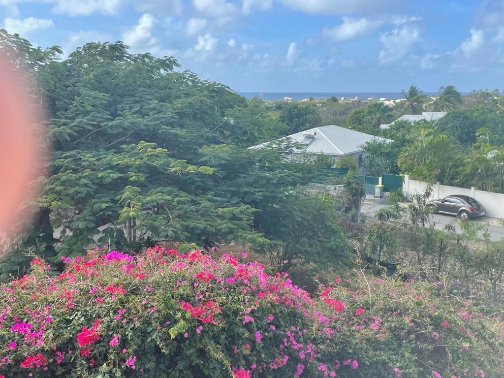 Villa Ste Marthe Avec Piscine, Grande Terrasse, Jardin Intime Et Citerne D'Eau Saint-Francois  Ngoại thất bức ảnh