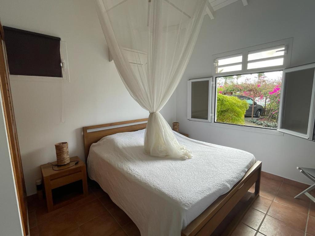 Villa Ste Marthe Avec Piscine, Grande Terrasse, Jardin Intime Et Citerne D'Eau Saint-Francois  Ngoại thất bức ảnh